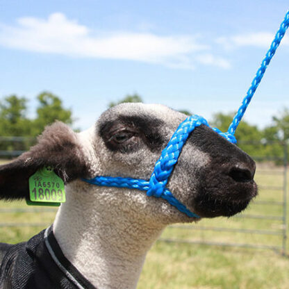 Sullivan's Soft Braid Halters - Image 6