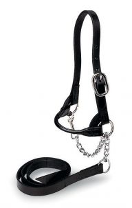 Sheep Halters - Leather