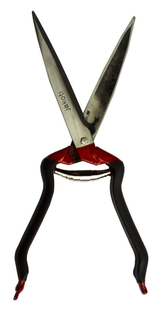 Jakoti Hand Shears Peasridge