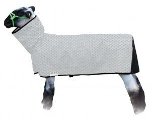 Sheep Blankets – Peasridge