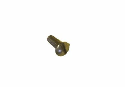 Spring Screw
