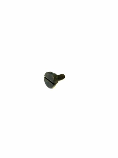 Retaining Screw