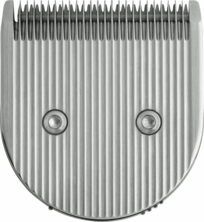 Midi Blade