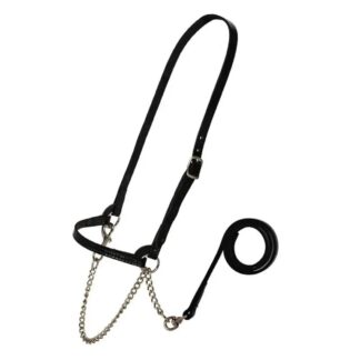 Sullivan's Dairy Halter