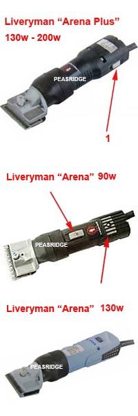Distinguishing Arena models Distinguishing Arena models