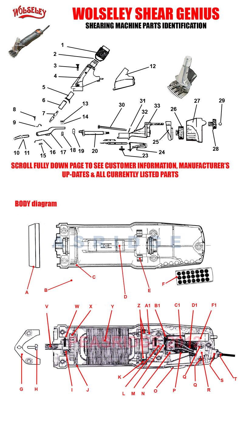 Parts diagram