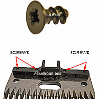 Blade 'yoke' screw