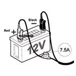 Lister 12v leads