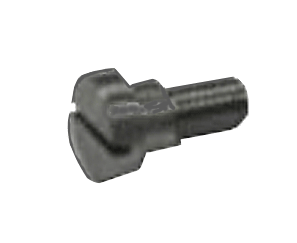 Screw for spring bridge