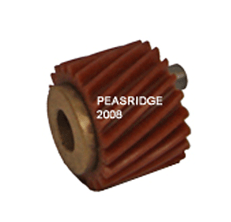 Worm gear