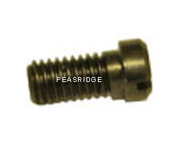Swallow tail plate screw