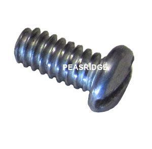 Hinge assembly screw