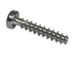 Body casing screw