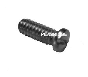 Hinge assembly screw